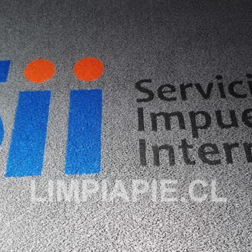 Limpiapiés para alto tráfico, capacidad de 1.000.000 a 1.200.000 personas