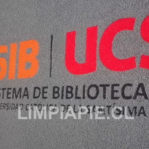 Limpiapiés para alto tráfico, capacidad de 1.000.000 a 1.200.000 personas